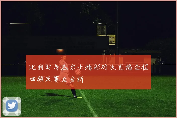 比利时与威尔士精彩对决直播全程回顾及赛后分析