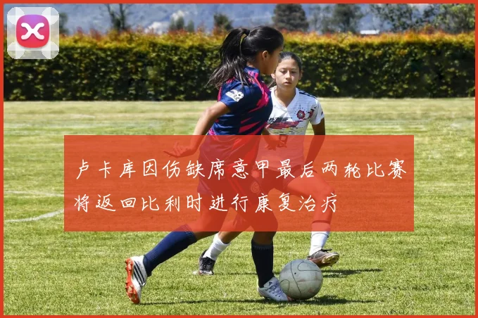 卢卡库因伤缺席意甲最后两轮比赛将返回比利时进行康复治疗