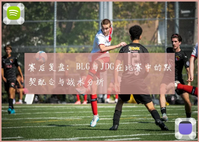 赛后复盘：BLG与JDG在比赛中的默契配合与战术分析